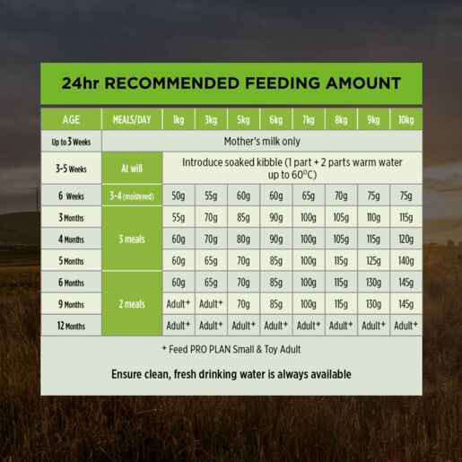 Purina Pro Plan Puppy Healthy Growth & Development - Small &Toy 2.5kg petbay.lk