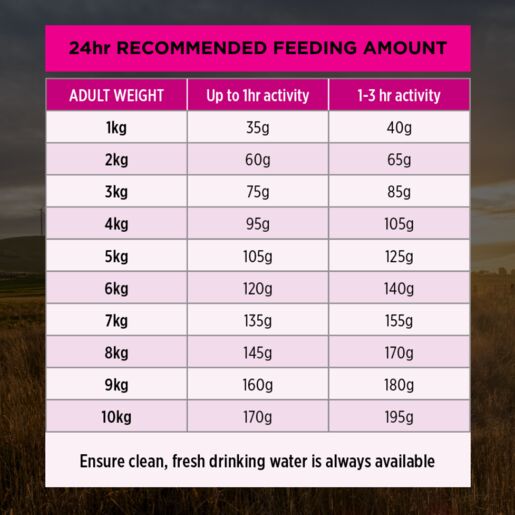 Purina Pro Plan Adult Sensitive Skin & Stomach - Small & Toy 2.5kg petbay.lk