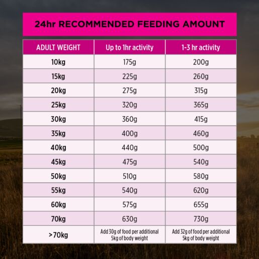 Purina Pro Plan Adult Sensitive Skin & Stomach - Medium & Large 3kg petbay.lk