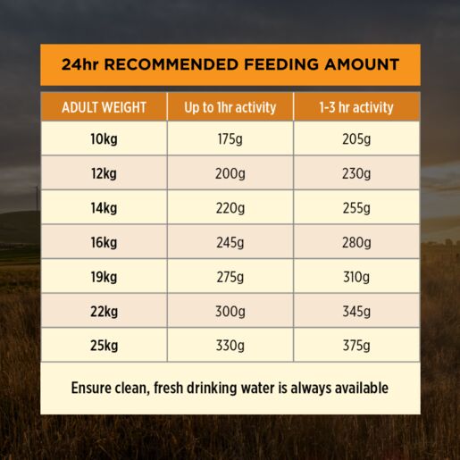 Purina Pro Plan Adult Essential Health - Medium 3kg petbay.lk