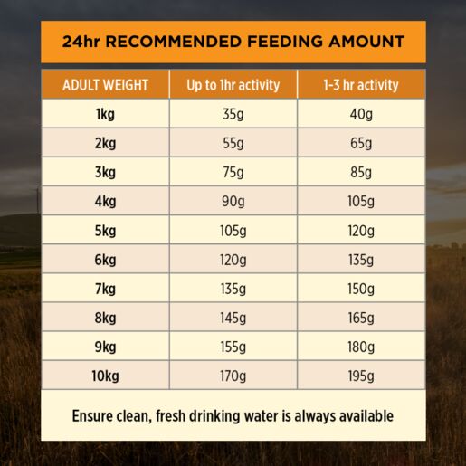 Purina Pro Plan Adult Essential Health - Small & Toy 2.5kg petbay.lk