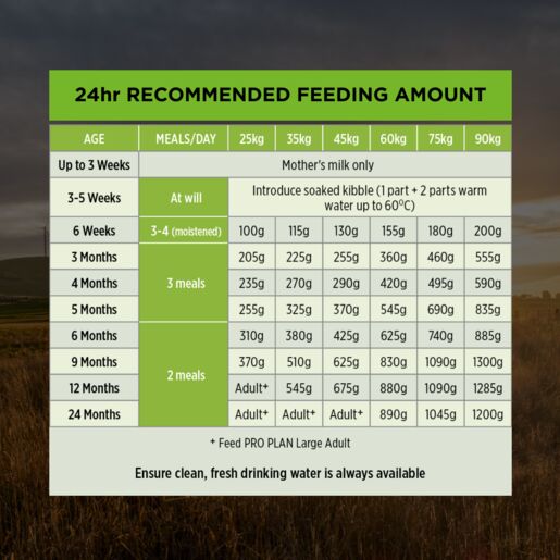 Purina Pro Plan Puppy Healthy Growth & Development - Large 3kg petbay.lk