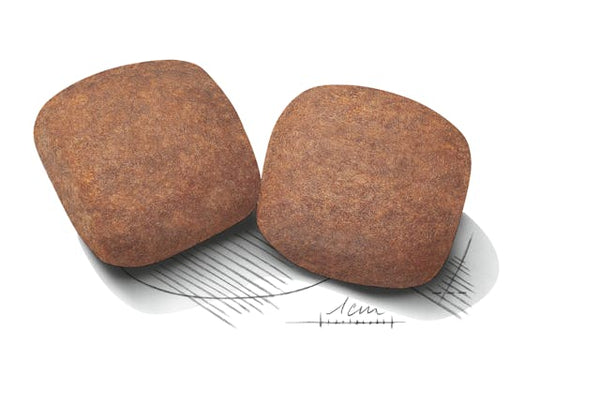 Royal Canin Giant Adult petbay.lk