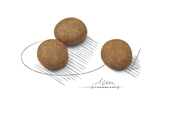 Royal Canin Maxi Puppy petbay.lk