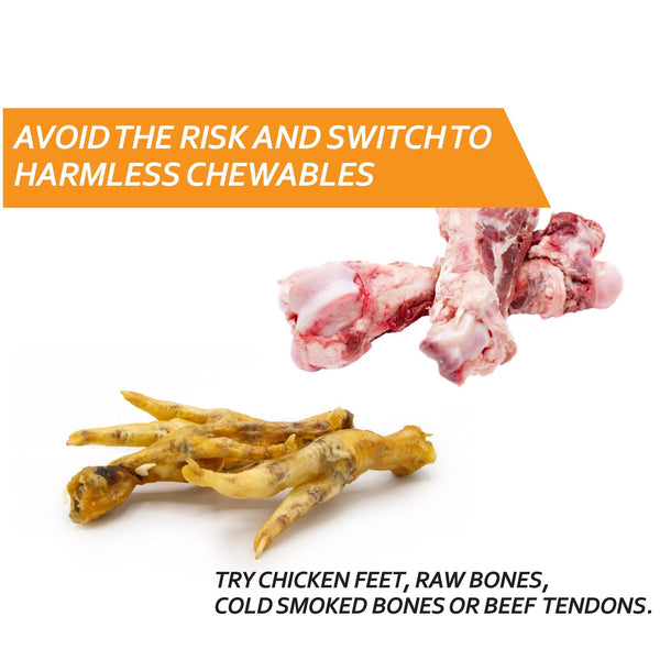 Canis Dehydrated Chicken Feet (20 pieces) petbay.lk