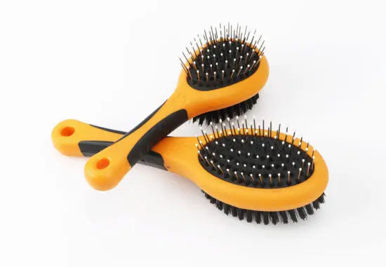 2 Brush with coloured handle petbay.lk