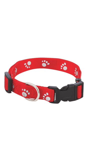 Paw Print Pet Collar ( Adelia ) petbay.lk