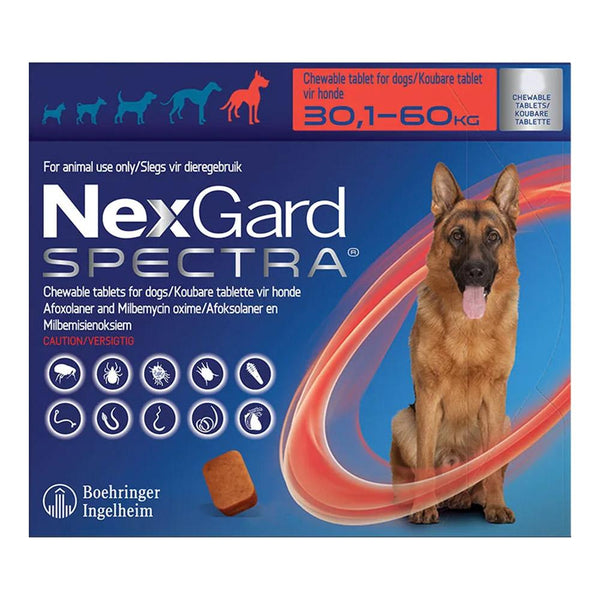 NexGard Tick & Flea tablets petbay.lk