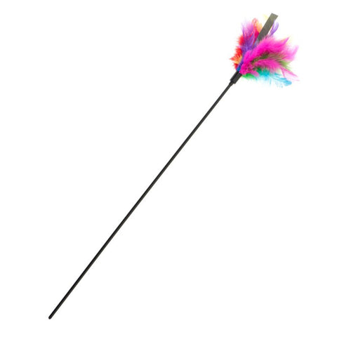 Cat Feather Toy Adelia petbay.lk