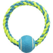 Single Tennis Rope toy - DH petbay.lk
