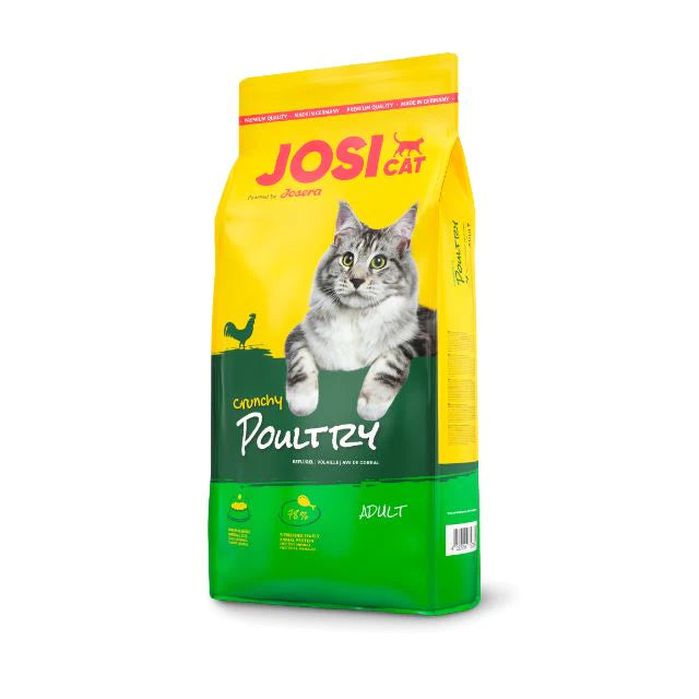 Cat Dry Foods