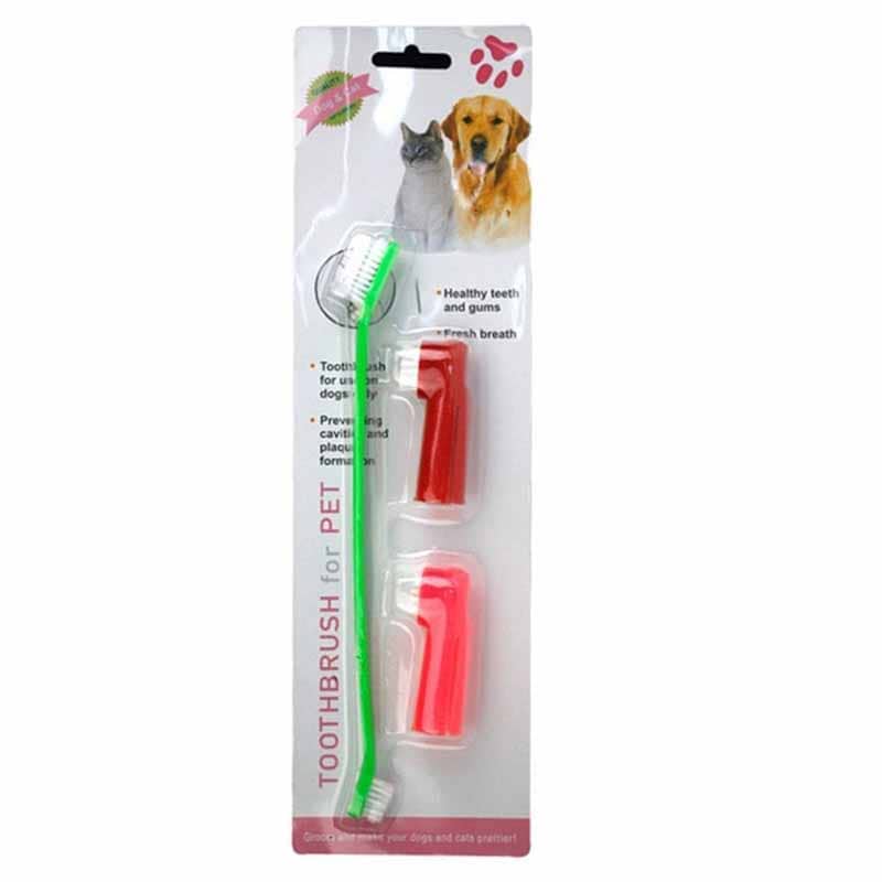 Pet-toothbrush_1200x1200.jpg?v=1706516941