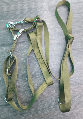 Shine Harness with Metal Lock (Adilia) petbay.lk