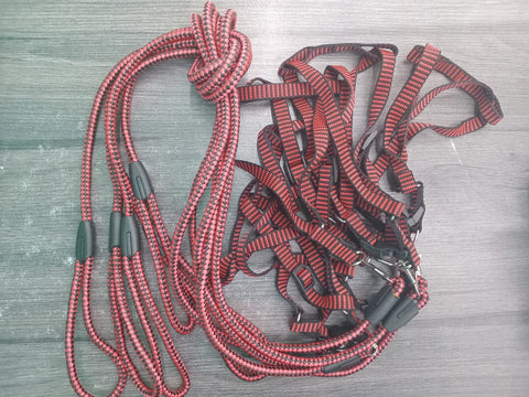Round leash + Harnes 1.5cm (Adelia) petbay.lk