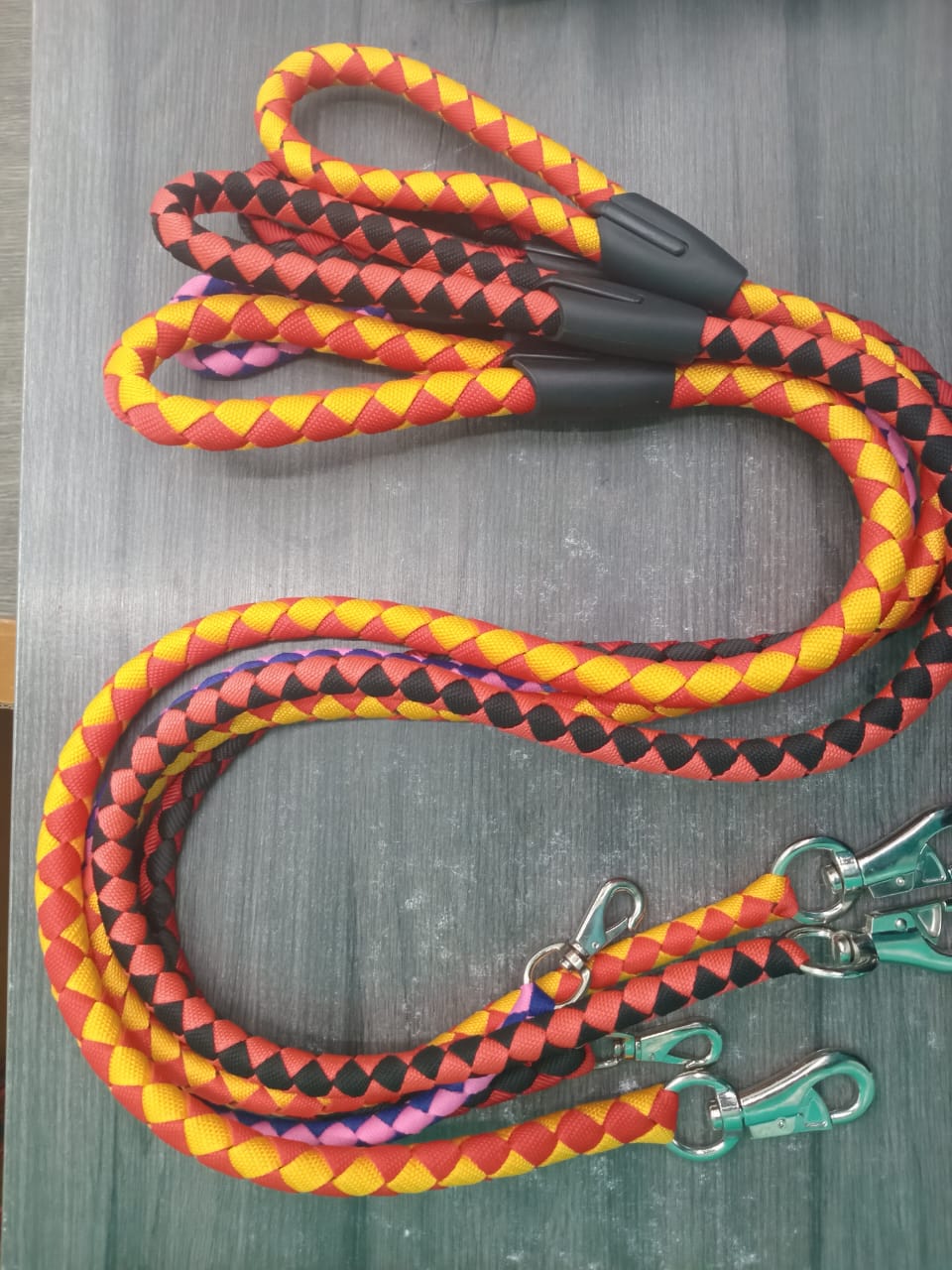 Round leash Hervylock petbay.lk