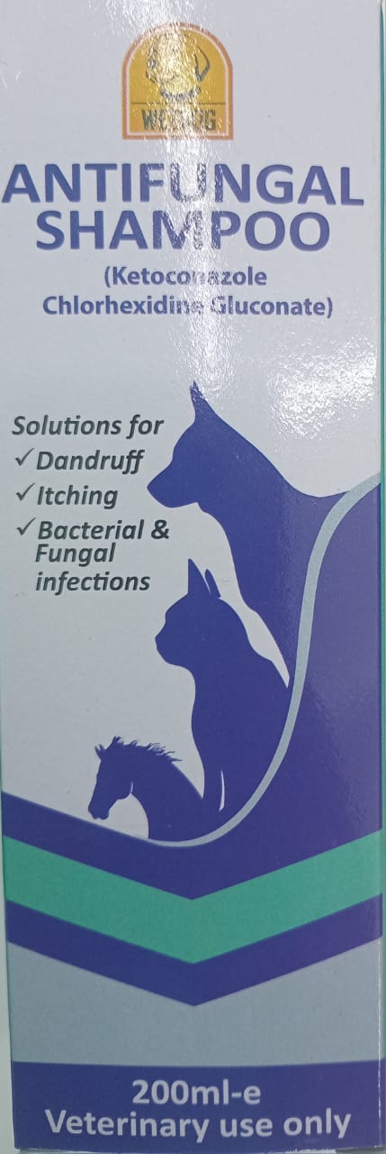 Wet Dog Antifungal Shampoo  200ml petbay.lk