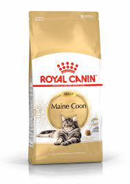 Royal canin main coon petbay.lk