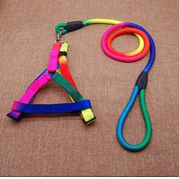 DH Rainbow leash collar petbay.lk