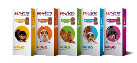 Bravecto Dog Chewable Tablet petbay.lk