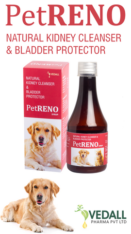 PetRENO Syrup 200ml petbay.lk