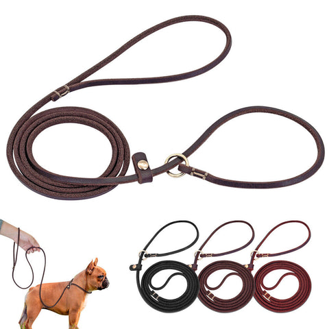 Choker leash Adelia petbay.lk