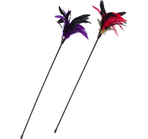 Feather Stick (SD) petbay.lk
