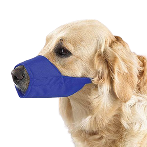 Nylon Cloth Dog Muzzle (Indika) petbay.lk
