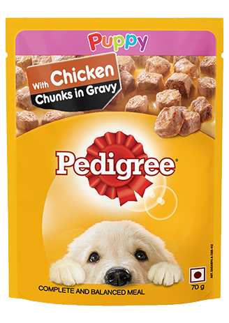 Pedigree Puppy with Chicken Chunks in Gravy petbay.lk